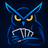 WozWize Owl